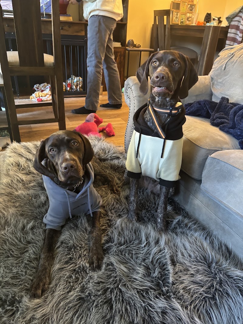 Julz Animal Houz Marysville photo 3