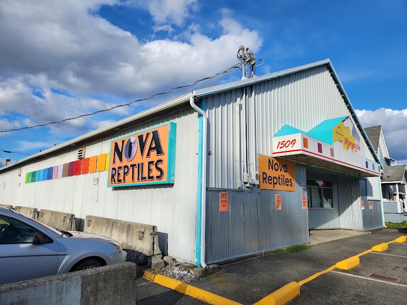 Nova Reptiles - Indoor Dog Park in Marysville, WA | Indoor Dog Park