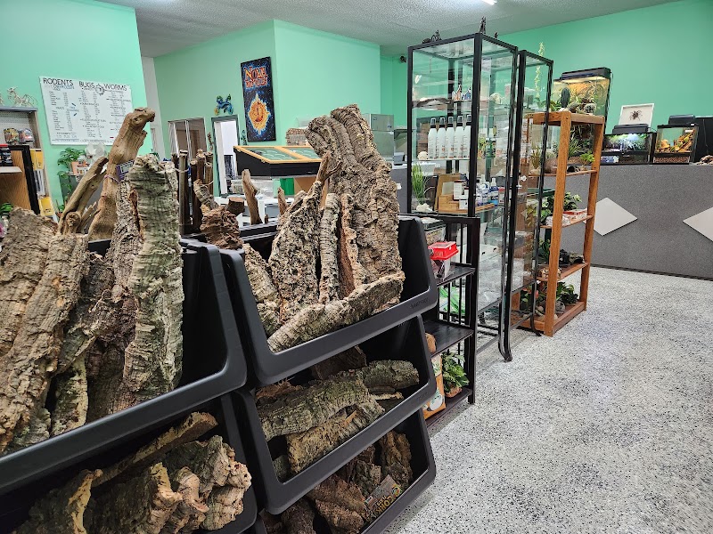 Nova Reptiles photo 2