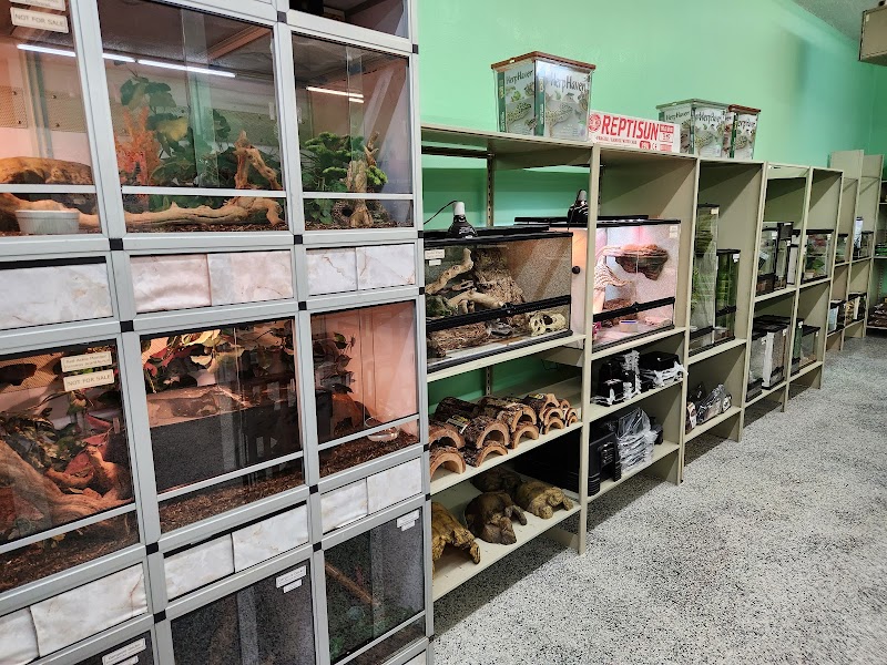 Nova Reptiles photo 3