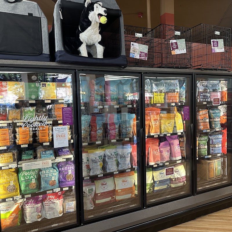 All The Best Pet Care - Ballard photo 3