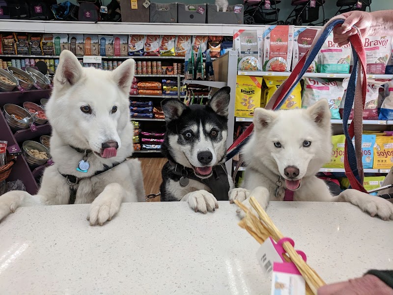 All The Best Pet Care - Columbia City photo 2