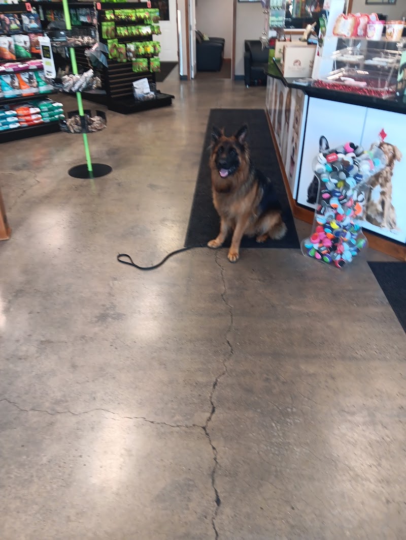 K9 Country Club Pet Center photo 3