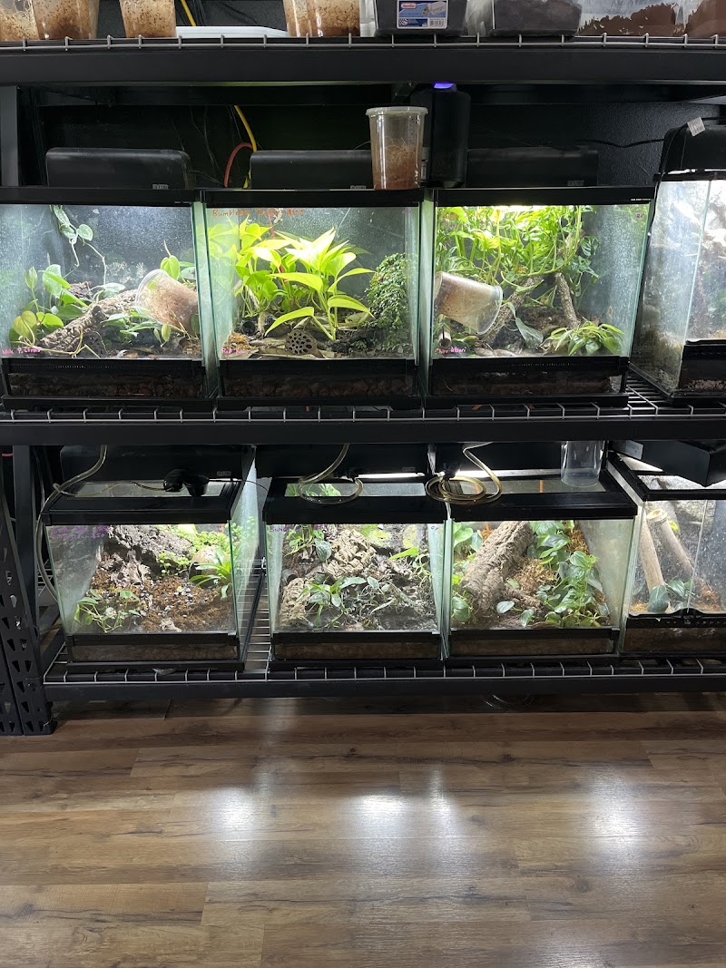 Northwest Terraria - Indoor Dog Park in Spokane, WA | Indoor Dog Park