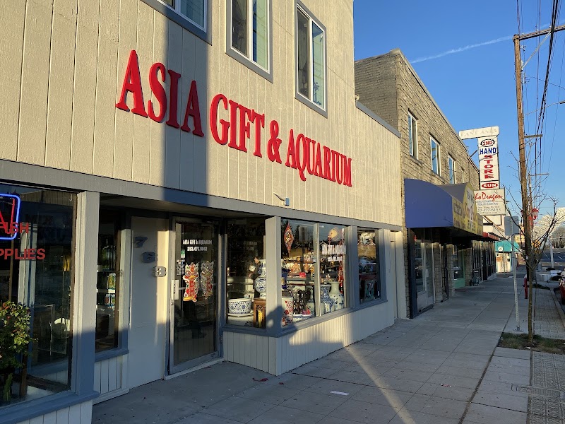 Asia Gift & Aquarium - Indoor Dog Park in Tacoma, WA | Indoor Dog Park