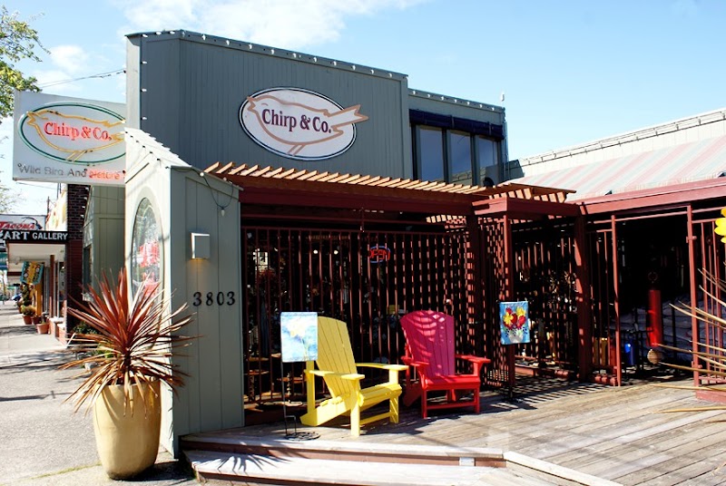 Chirp and Co - Indoor Dog Park in Tacoma, WA | Indoor Dog Park