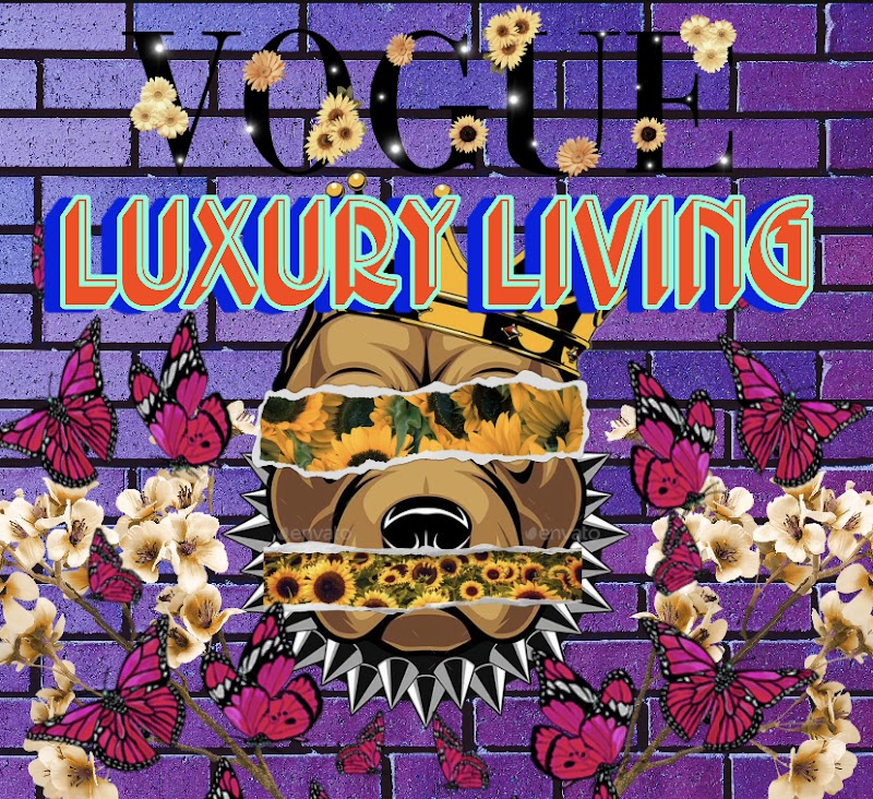 four leg luxury living - Indoor Dog Park in Tacoma, WA | Indoor Dog Park