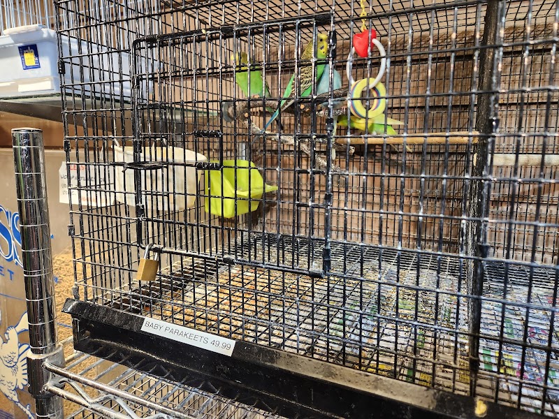 Alley Cat Pet Center photo 3