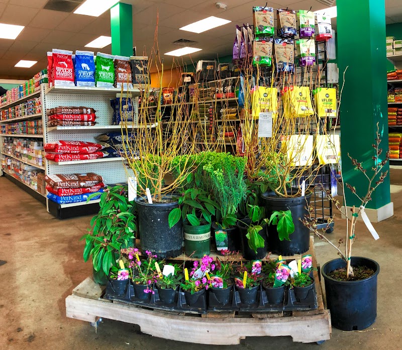 Fang! Pet & Garden Supply photo 2