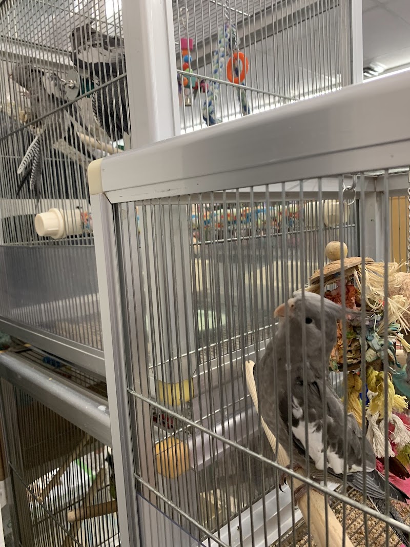 Ellensburg Pet Center photo 3