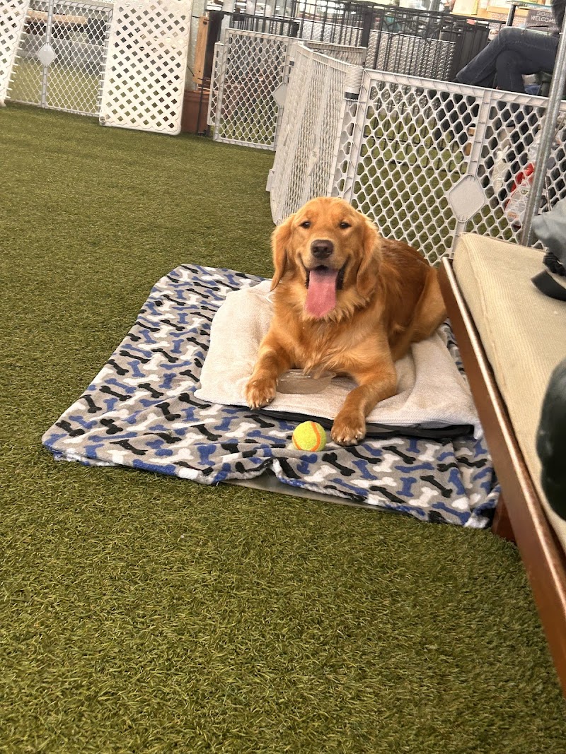 Webster, NY - Dog Parks Directory