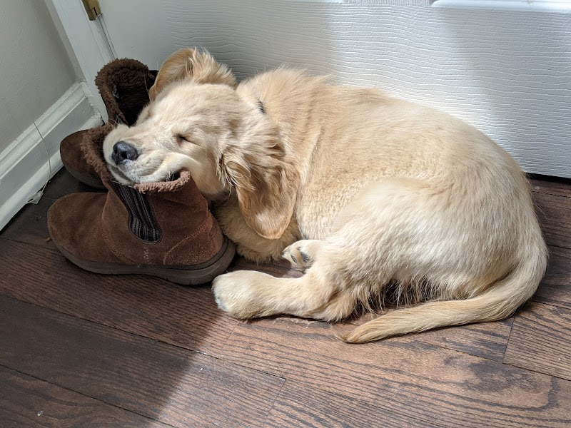 Doge Industries - Masti/Zahava Branch photo 2