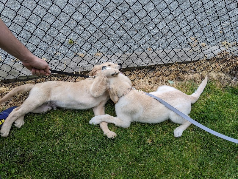 Doge Industries - Masti/Zahava Branch photo 3