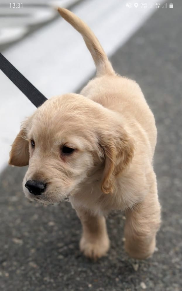 Doge Industries - Masti/Zahava Branch photo 5