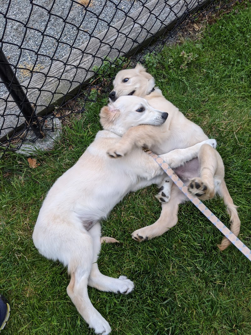 West New York, NJ - Dog Parks Directory